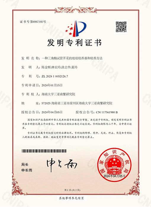 Honor and qualification